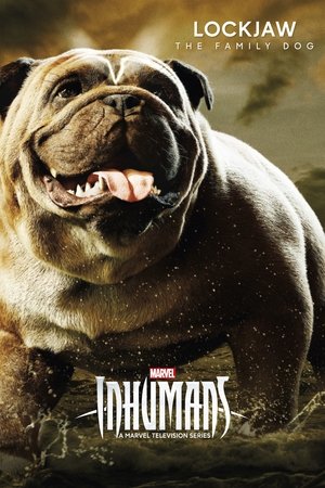 <Images posters