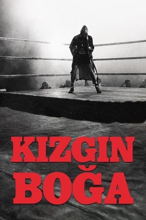 Image Kızgın Boğa