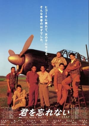 Poster Fly Boys, Fly! 1995