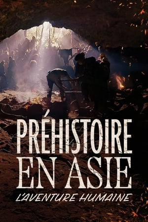 Image Préhistoire en Asie : L'Aventure humaine