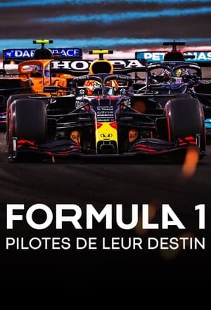 Image Formula 1 : Pilotes de leur destin