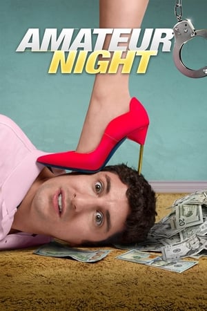 Poster Amateur Night 2016