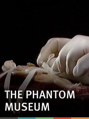 The Phantom Museum: Random Forays Into the Vaults of Sir Henry Wellcome's Medical Collection 2003