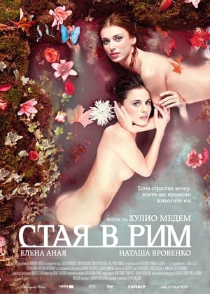 Poster Стая в Рим 2010