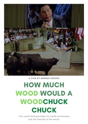 How Much Wood Would a Woodchuck Chuck: Beobachtungen zu einer neuen Sprache 1976