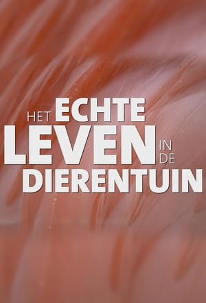 Image Het echte leven in de dierentuin