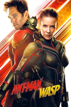 Image Ant-Man a Wasp