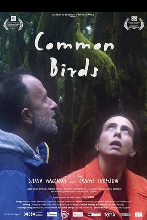 Common Birds 2019