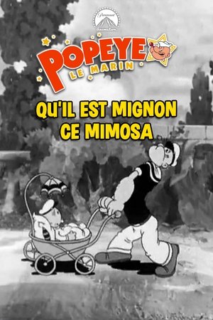 Télécharger Qu'il est mignon ce Mimosa ou regarder en streaming Torrent magnet 