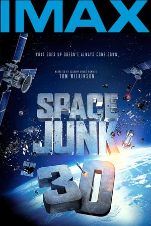 Poster Space Junk 3D 2012