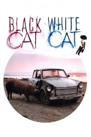 Image შავი კატა, თეთრი კატა