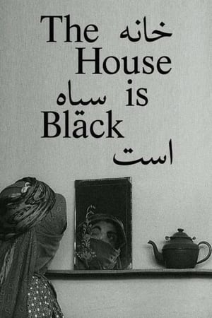 Image The House Is Black