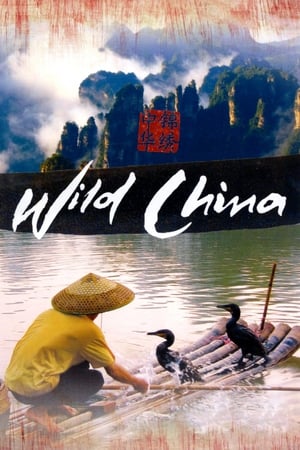 Poster Wild China 2008