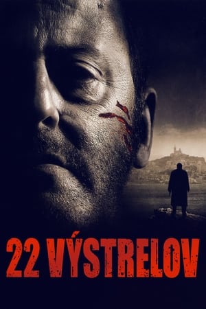 Poster 22 výstrelov 2010