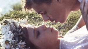 مشاهدة فيلم Chronicle of Amorous Accidents 1986 مباشر اونلاين