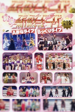 Télécharger Hello! Project 2011 Winter ～歓迎新鮮まつり～ Aがなライブ ou regarder en streaming Torrent magnet 