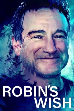 Poster Robin's Wish 2020