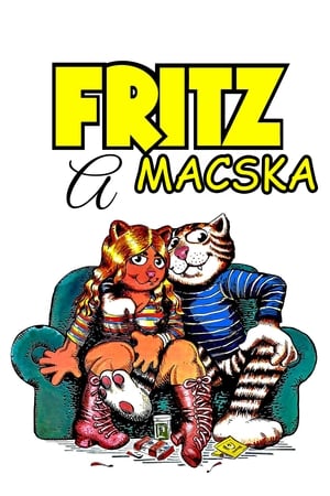 Image Fritz, a macska