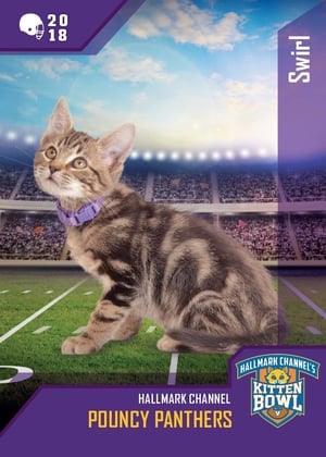 Poster Kitten Bowl VIII Special 2021