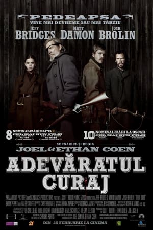 Poster Adevăratul curaj 2010