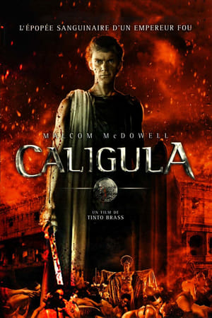 Poster Caligula 1979