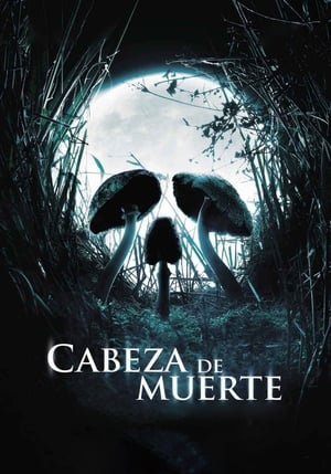 Image Cabeza de muerte (Fungus Mortalitas)