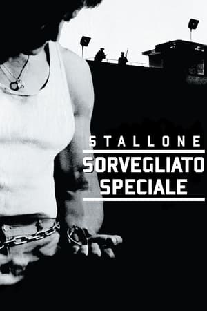 Poster Sorvegliato speciale 1989