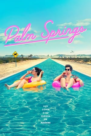 Poster Palm Springs 2020