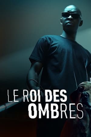 Télécharger Le Roi des Ombres ou regarder en streaming Torrent magnet 