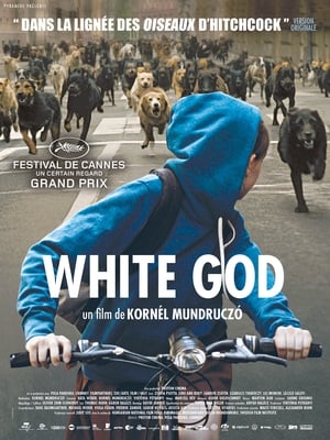 Télécharger White God ou regarder en streaming Torrent magnet 