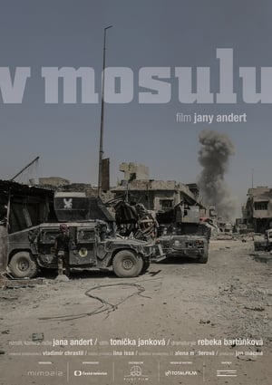 V Mosulu 2018