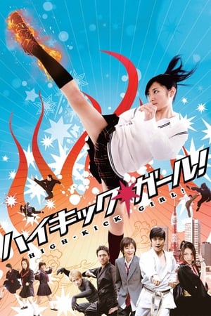 Télécharger High Kick Girl ou regarder en streaming Torrent magnet 