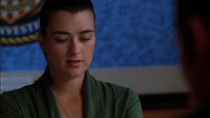 NCIS Season 6 :Episode 14  Love and War