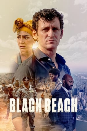 Poster Черный пляж 2020