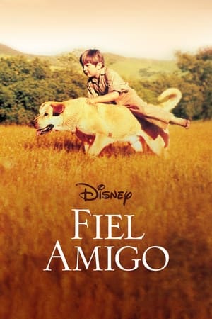 Image Fiel amigo