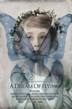 A Dream of Flying 2013