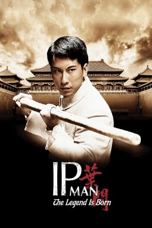 Poster The Legend Is Born: Ip Man 2010