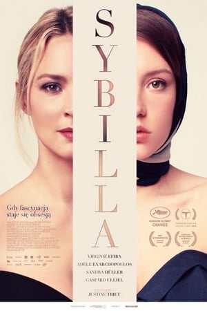 Image Sybilla