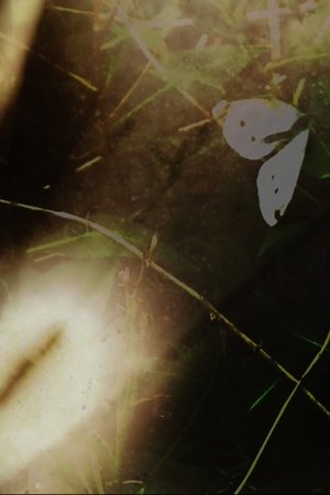 Garden Film (2025)