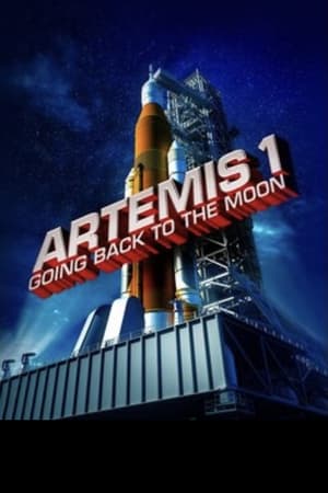 Poster Artemis 1: Going Back To The Moon 2022
