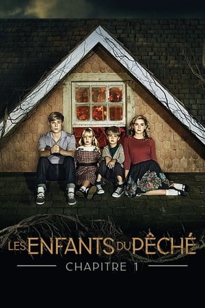 Poster Les Enfants du péché 2014