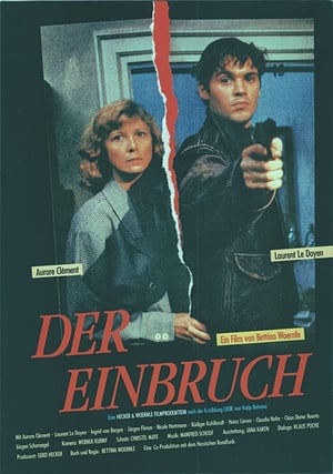 Image Der Einbruch