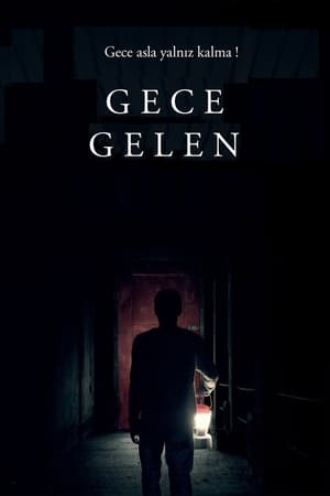 Poster Gece Gelen 2017