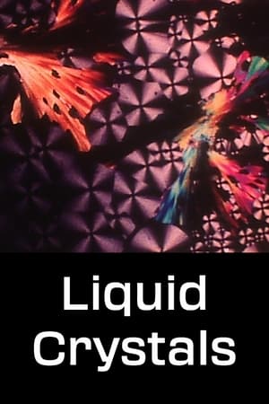 Poster Liquid Crystals 1978