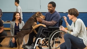 مشاهدة فيلم A Dog’s Way Home 2019 مترجم مباشر اونلاين