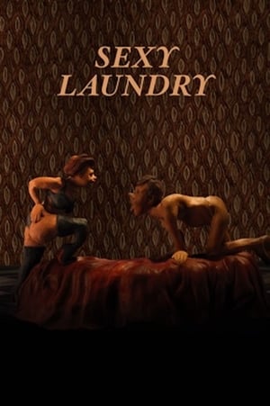 Sexy Laundry 2015