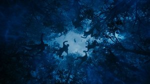 Images posters