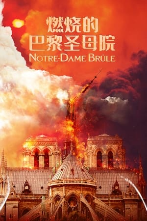 Poster 燃烧的巴黎圣母院 2022