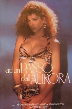 Poster Ad un passo dall'aurora 1989