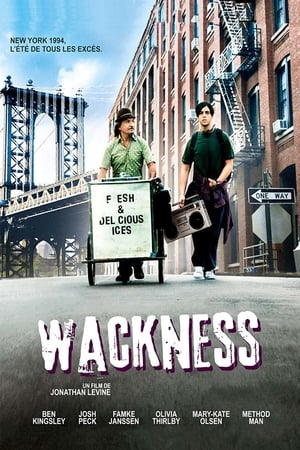 Poster Wackness 2008